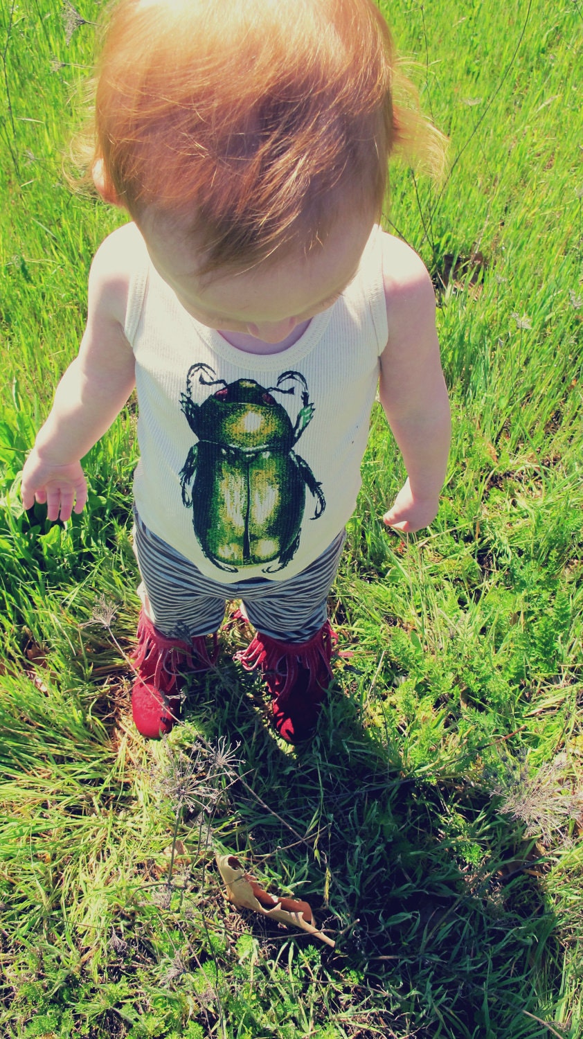 Baby Beetle