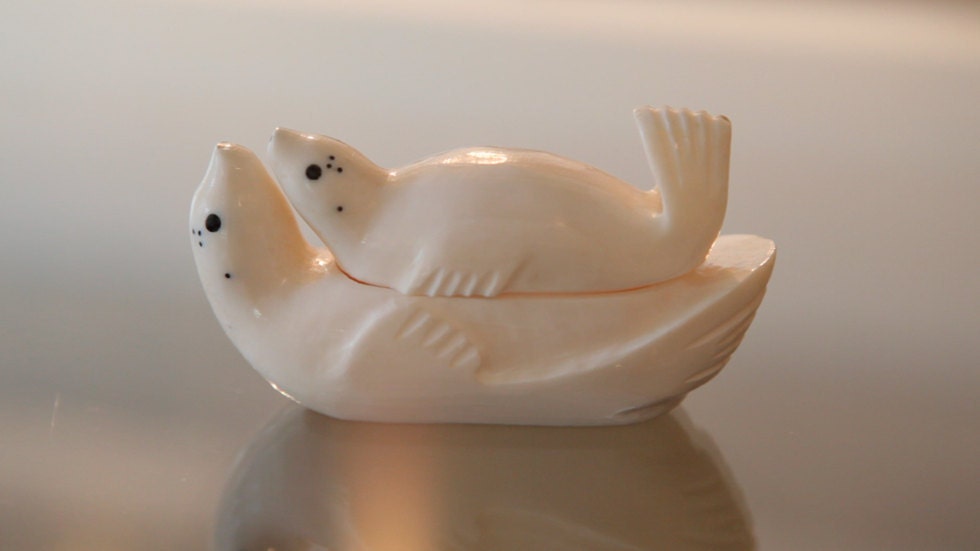 Ivory Seal and Pup