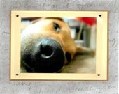 Handmade Greeting Card with Dogs Nose for Pet Lovers