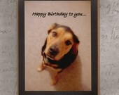 Handmade Happy Birthday Card for Dog Lovers