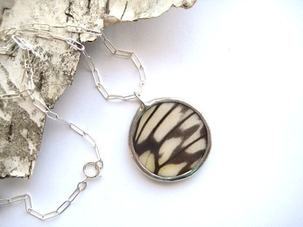 Graphic Newsprint -  real butterfly wing necklace, modern pattern