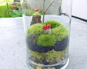 APPALACHAIN MEMORIES, Moss Terrarium, Glass Apothecary Jar, 3 Little Mushrooms,  Great Gift, for Your Home, Office, School, or Shop