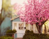 blue cottage and cherry blossoms tree,flowers,shabby chic cottage,french country decor,shabby chic wall decor