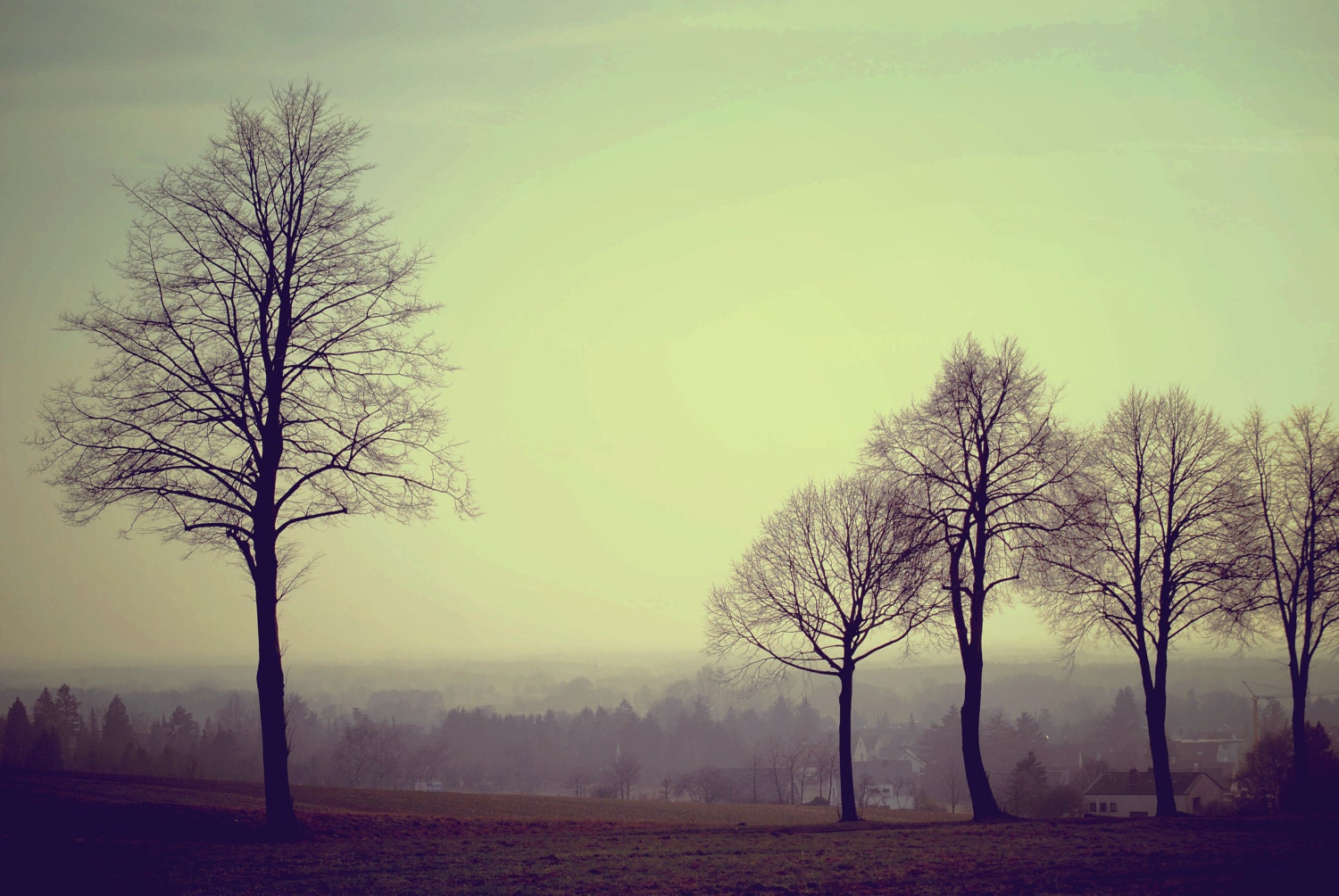 Landscape - MarionDunyach