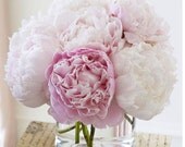 Fine Silk Floral Arrangement Faux Light Pink Peonies with Illusion water by La Fleur - LaFleurNY