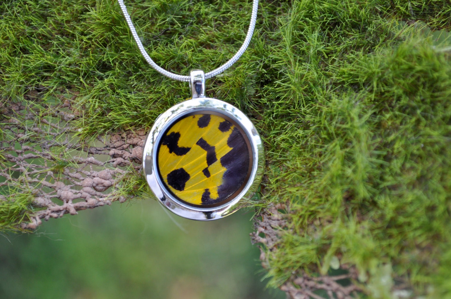 Real Moth Wing Pendant Necklace Reversible
