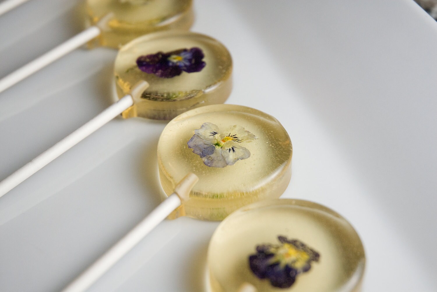 Voila Viola