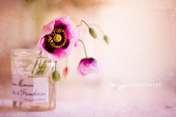 BOGO SALE - Flower Photography - Bon Maman and the Poppies 8x12 Original Fine Art Photograph - spring flower, poppies, pink, still life
