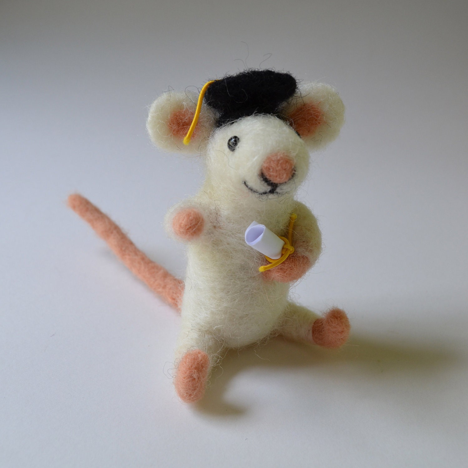 Mouse graduate