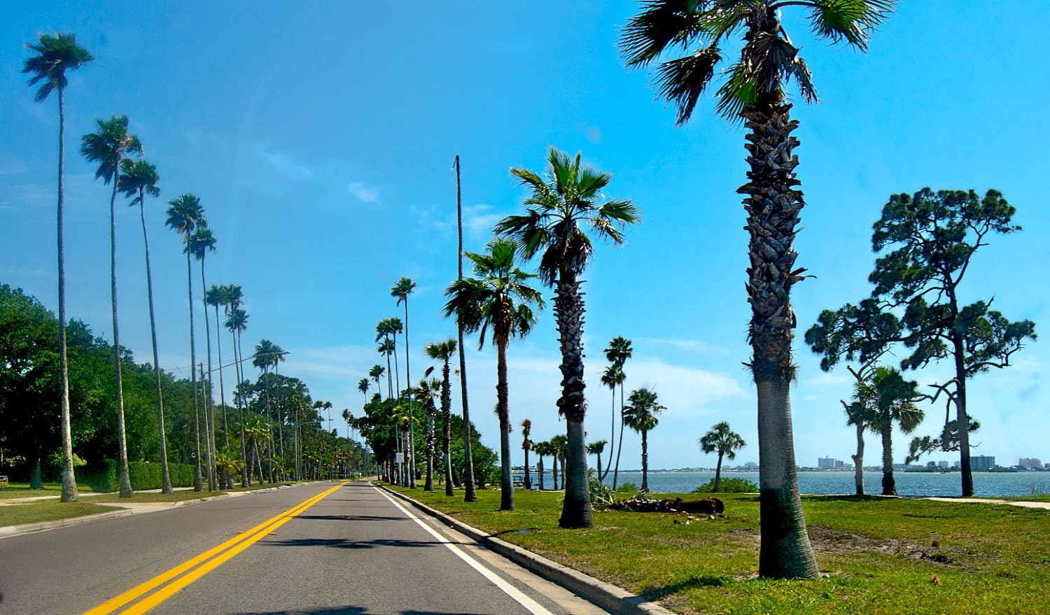 Clearwater Series Prints