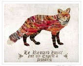 Red Fox Art Print on Paper