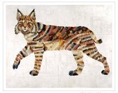Bobcat Art Print on Paper