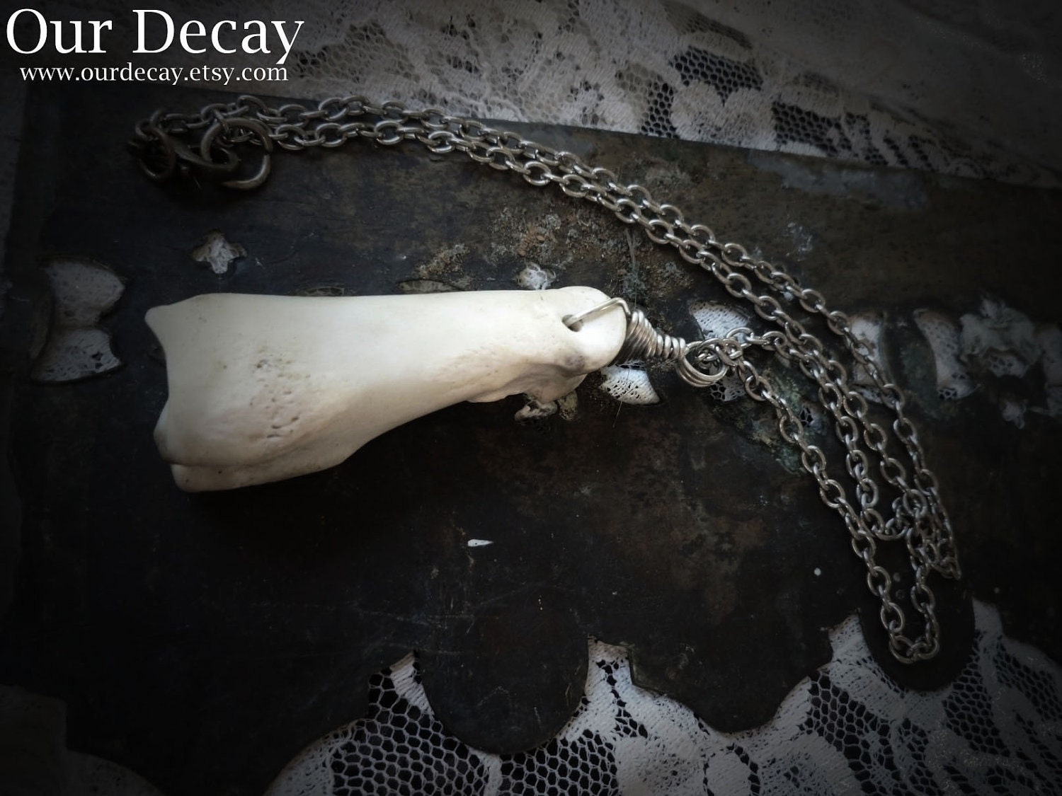 Dainty Deer Toe - bone jewelry,  wire wrapped