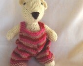 Rasberry, a knitted teddy