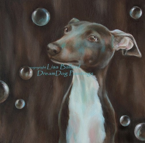Daydream in Color - Italian Greyhound - Whippet Print