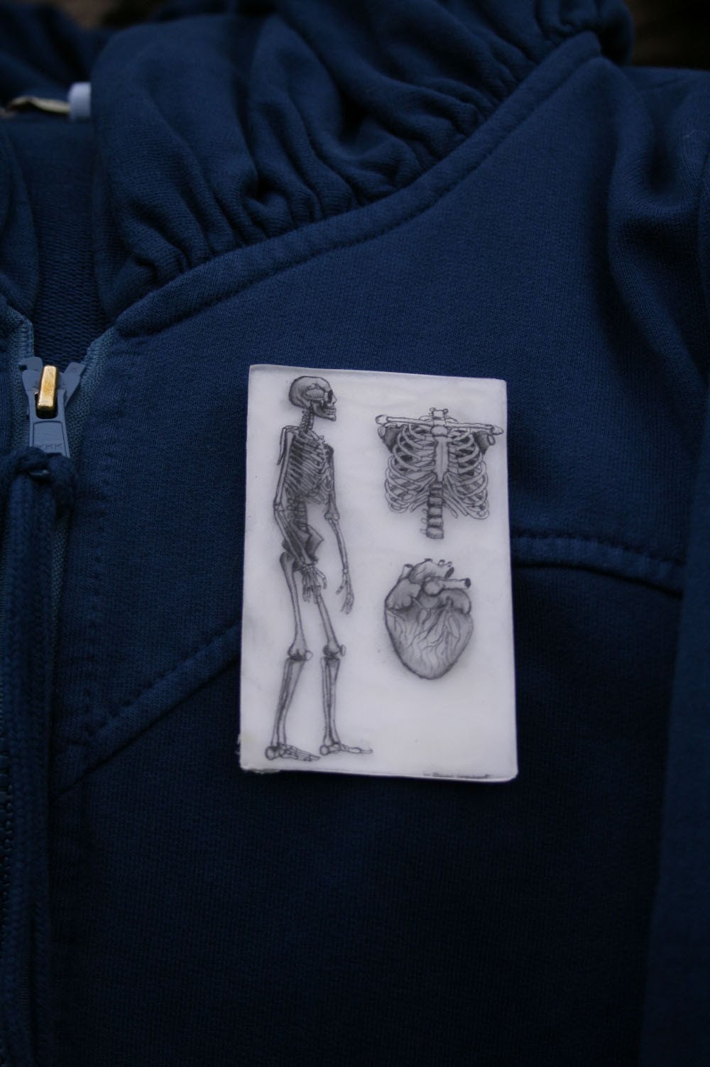 skeleton heart brooch or pin