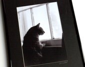 Original Photo Print Matted 8x10 in 11x14 Frame