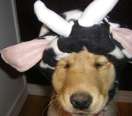Dog Costume...I wanna be a cow dog...