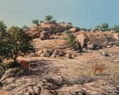 Texas Hill Country, Enchanted Rock State Natural Area, LIMITED EDITION GICLEE, Stretched Canvas,