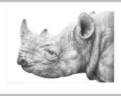 Wildlife Giclee Fine Art Print of a Black Rhino