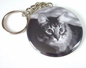 Cat Keychain 2 1/4 inch Sebastian 6