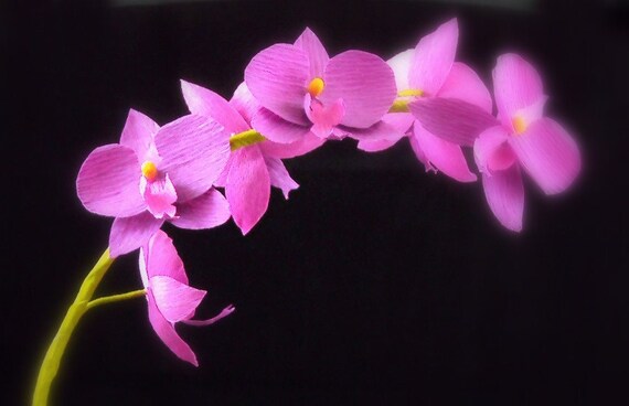 phalaenopsis (moth) orchid spray - paper flowers for gift, wedding, or home decor