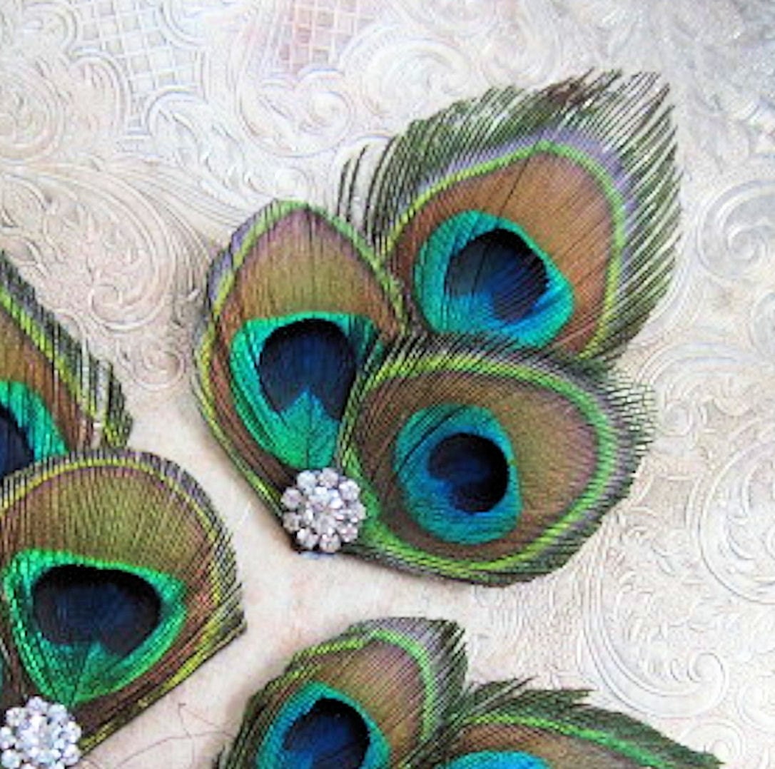 Peacock and Rhinestone party hair clip