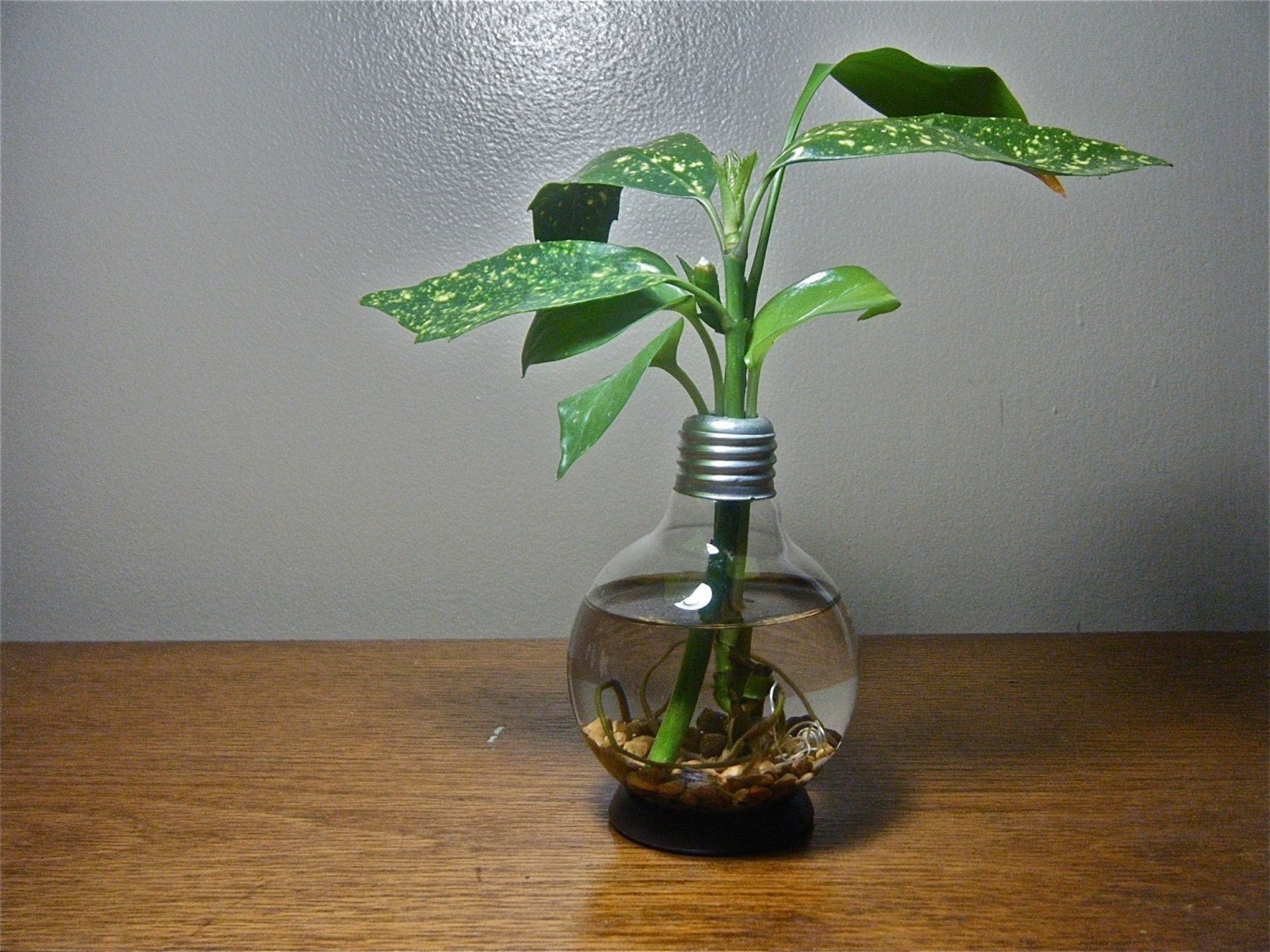 Repurposed Round Lightbulb Vase
