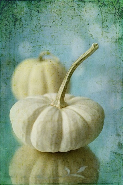 White Pumpkin Photograph, Through the Looking Glass, Fall Home Decor, Fantasy