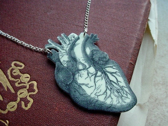 anatomical human heart necklace
