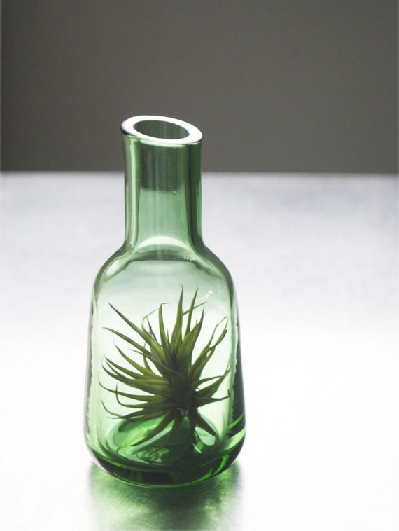 Green Glass Air Plant Vase // Airplant in Small Blown Glass