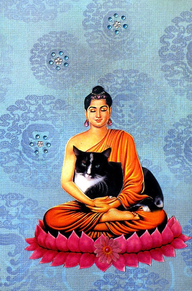 good karma cat collage buddha custom blue fantasy pet portrait home decor custom shabby chic tagt team art
