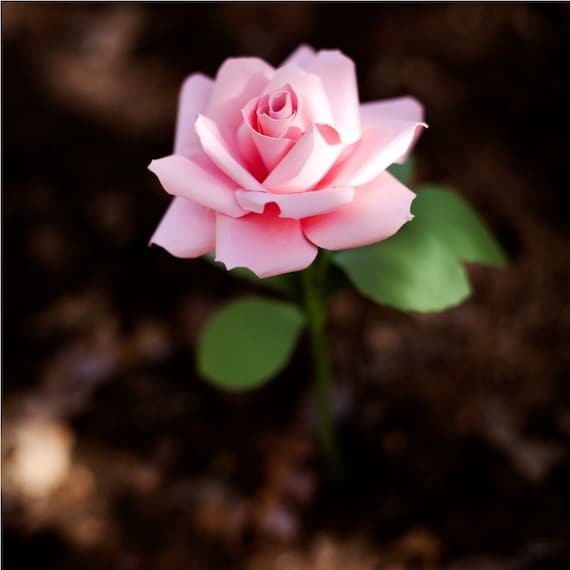 paper flower - extraordinary paper rose in your cardstock color choice