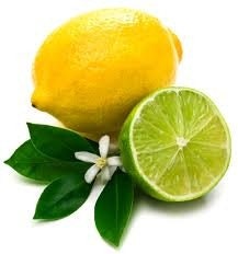 Cool Mint Lemonade Sugar Body Polish 8 oz.