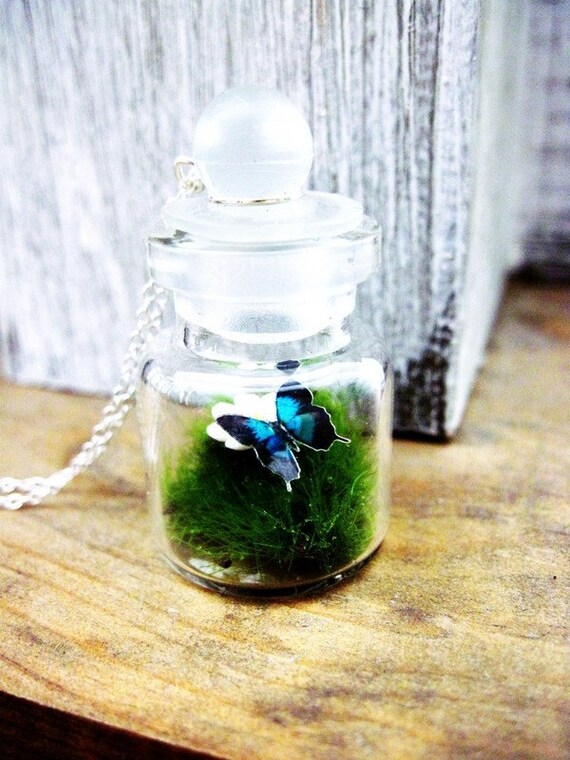 Tiny Blue Morpho Butterfly Woodland Terrarium Necklace Tiny Blue Morpho Butterfly Woodland Terrarium Necklace