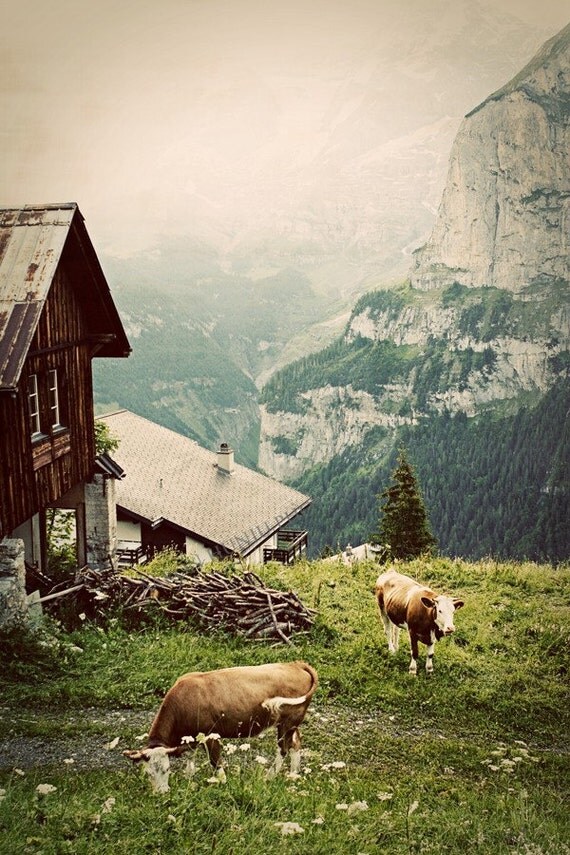 Morning in the Alps - Fine Art Photograph