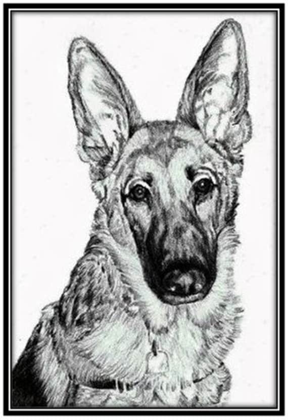 Custom Pet Portrait in Pencil 8 x 10