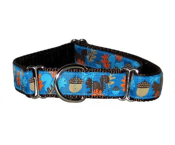 Chasing Squirrels Martingale Dog Collar 1"