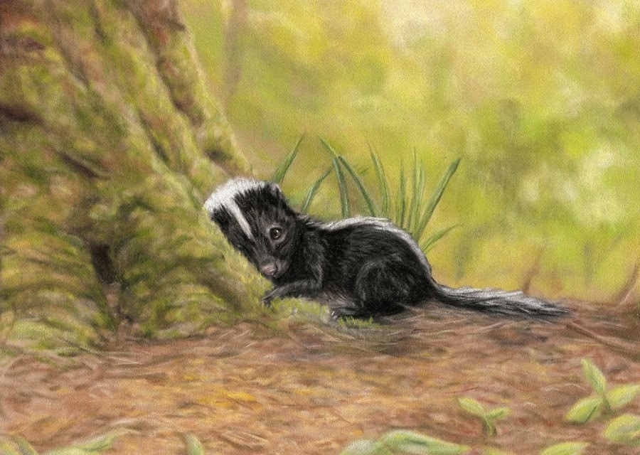 Little Skunk 5 x 7 Print