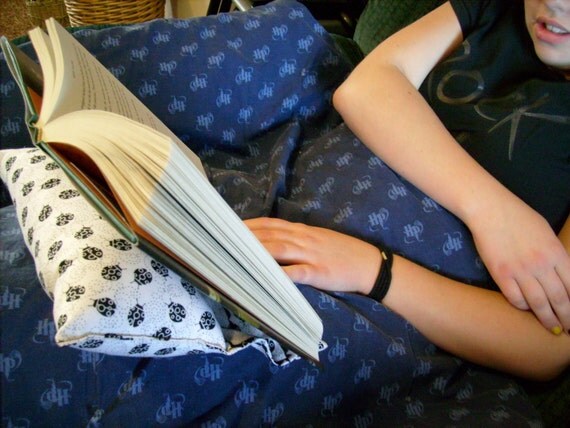 Dizzy Ladybugs reading pillow (m)