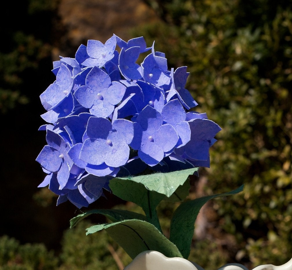 paper hydrangea, large blossoms - extraordinary hand-crafted paper flowers