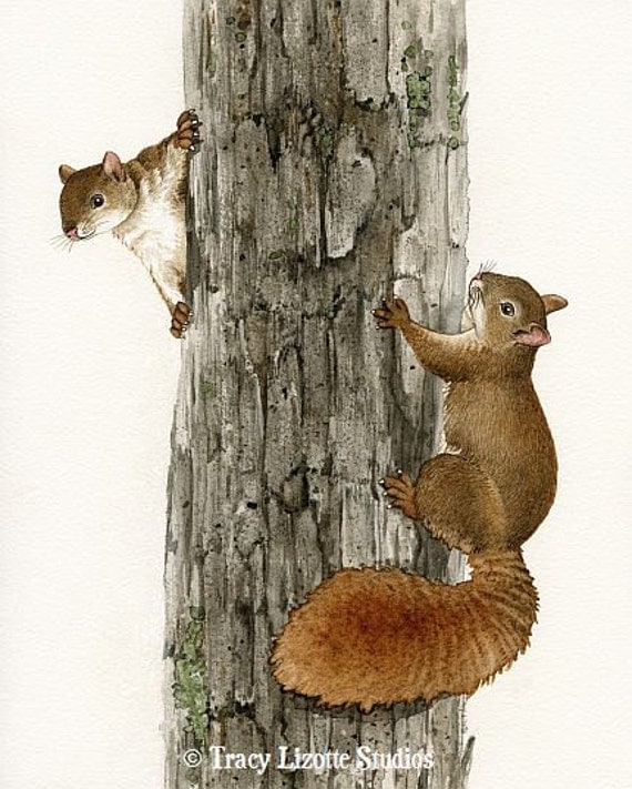Squirrel Tag