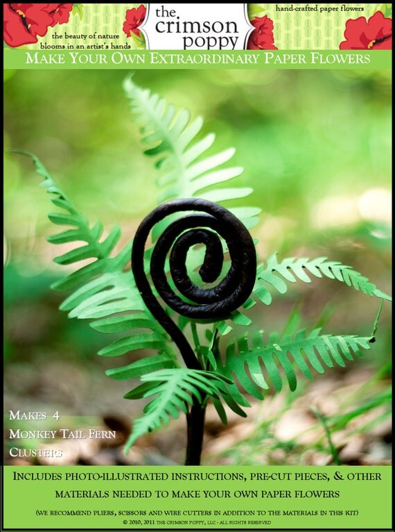 DIY paper flower kit - monkey tail fern - make your own extraordinary paper flowers