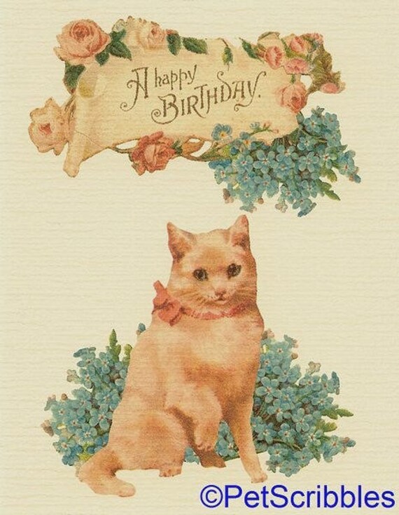 Victorian Cat Birthday Card - Stop and smell the flowers, Just don't eat them too