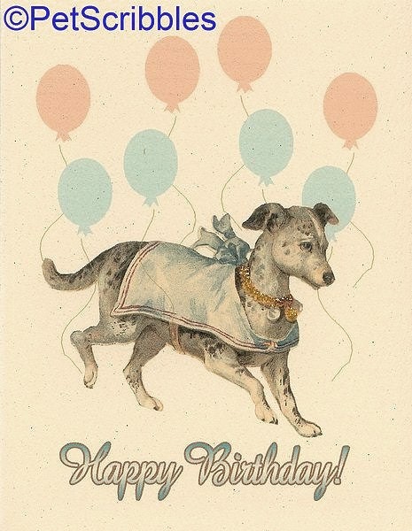 Dog Birthday Card, Birthday Balloons, Vintage Style - Hope your day is "pawsitively" festive