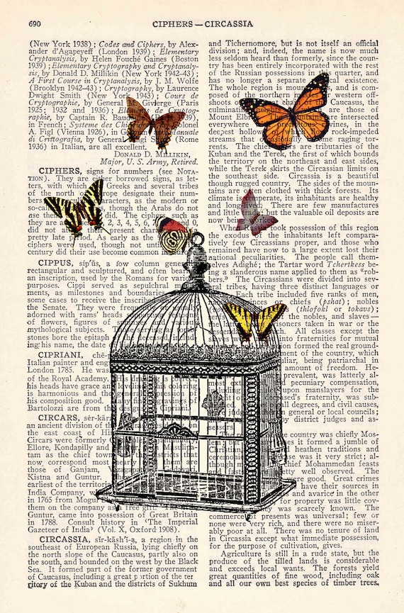 Butterfly collage Vintage Book Print Dictionary or Encyclopedia Page Print-Release the butterflies - Butterflies cage Print