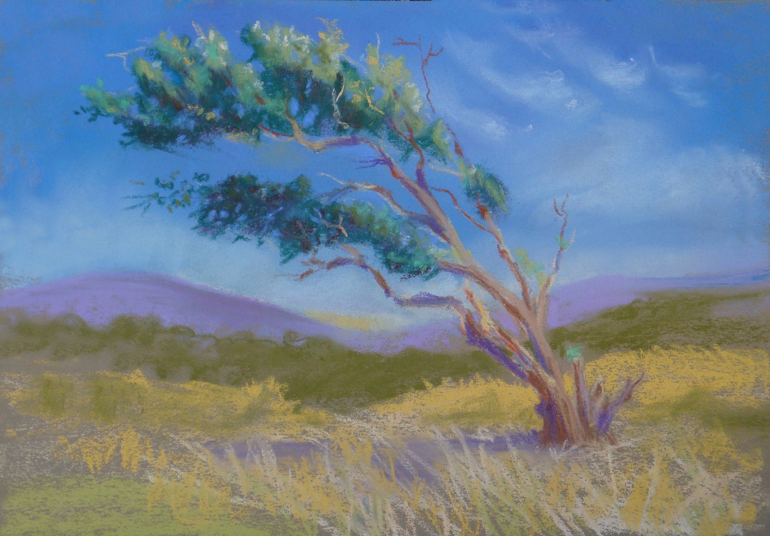 Windswept Tree - Original Pastel Painting - FREE SHIPPING