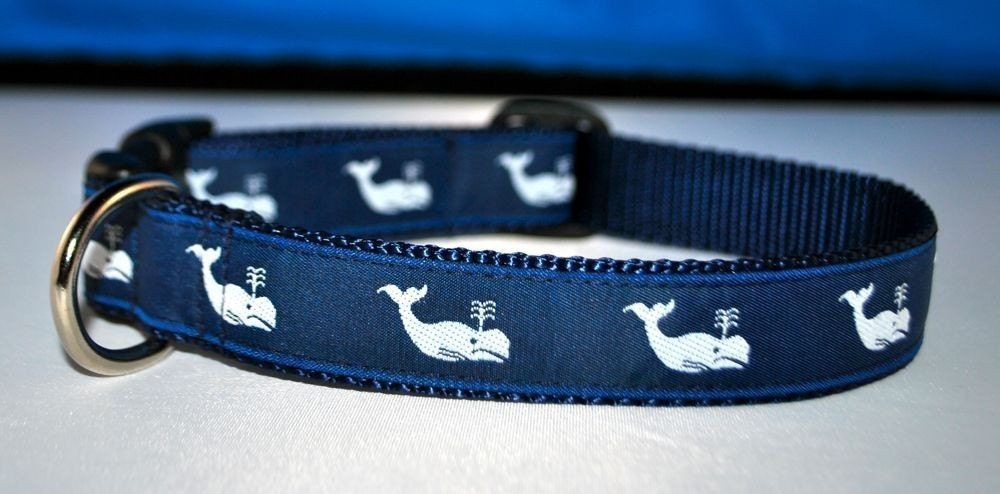 Moby White Whale - Dog Collar