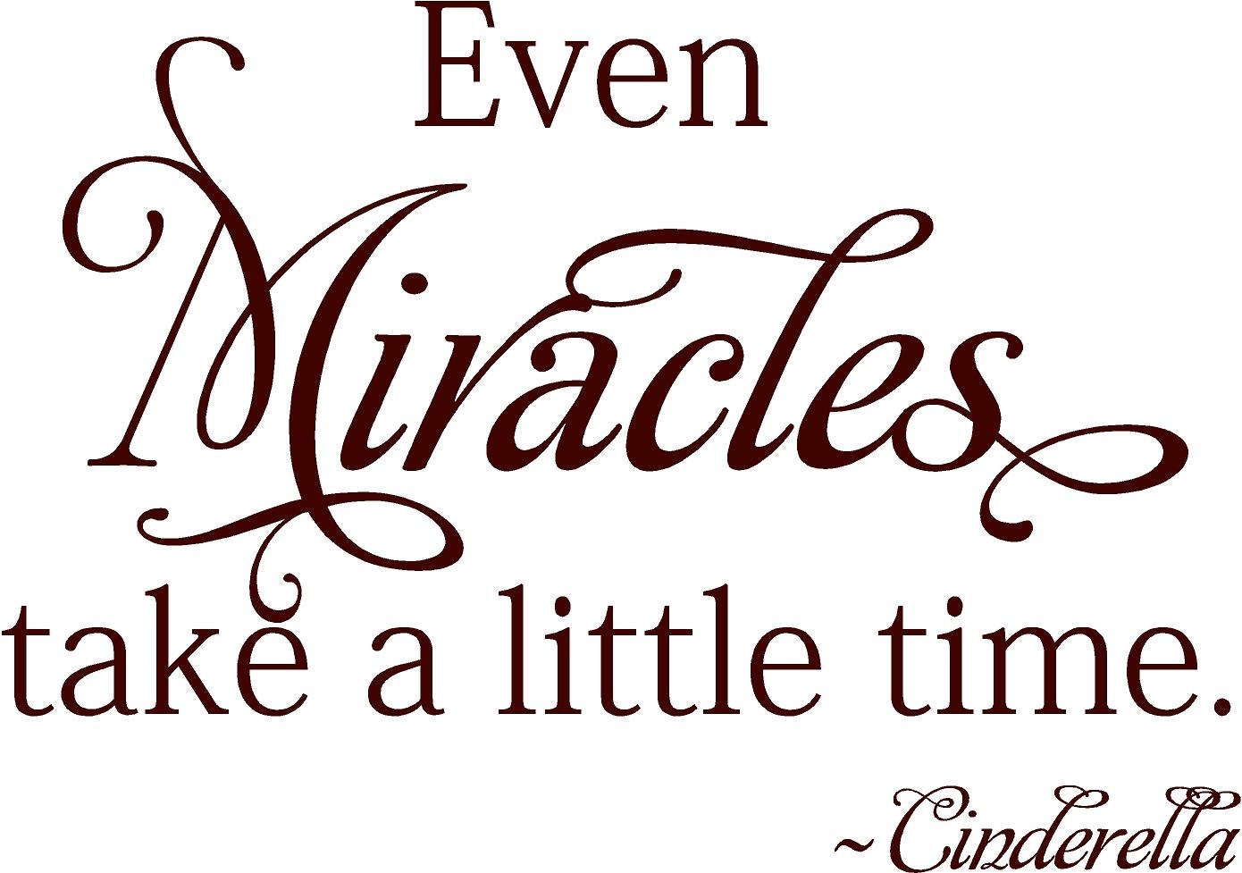Even Miracles take a little time -Cinderella - Vinyl Lettering wall words graphics Home decor itswritteninvinyl