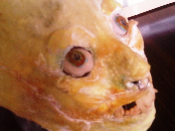 A mask of a human face that is made from chicken skin and is disgusting